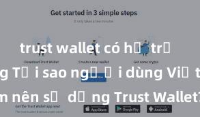 trust wallet có hỗ trợ bep20 không Tại sao người dùng Việt Nam nên sử dụng Trust Wallet? Lợi ích và rủi ro